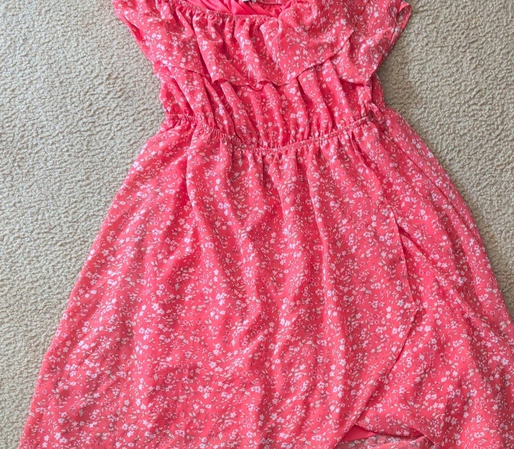Wallflower Coral Pink Floral Ruffle Dress